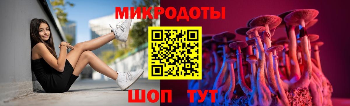 Псилоцибиновые грибы прущие грибы  Вход с VPN  Будённовск 